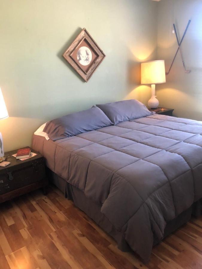 フレデリックスバーグ Dry Creek Bed & Breakfast エクステリア 写真